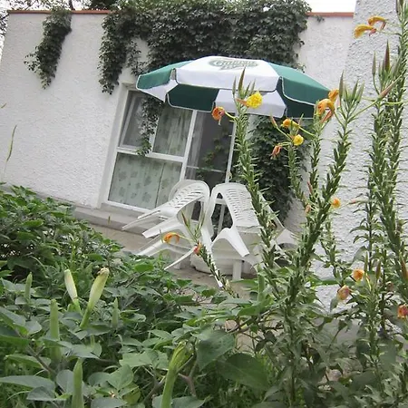 Pensiunea Ruxandra Casa de hóspedes