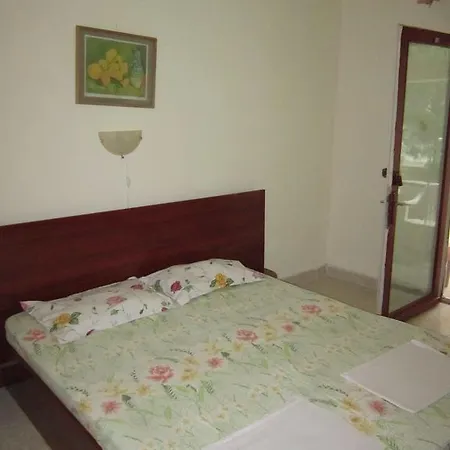 Guest house Pensiunea Ruxandra 2*