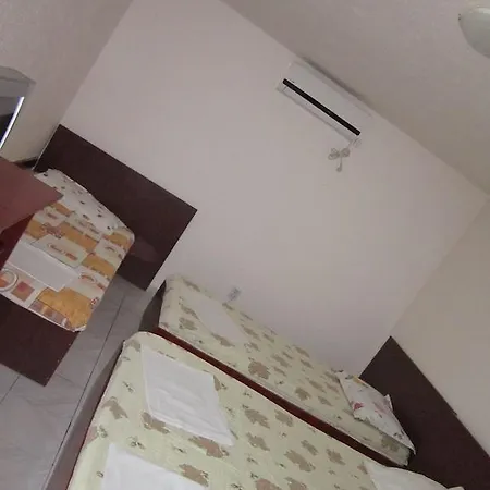 Casa de hóspedes Pensiunea Ruxandra