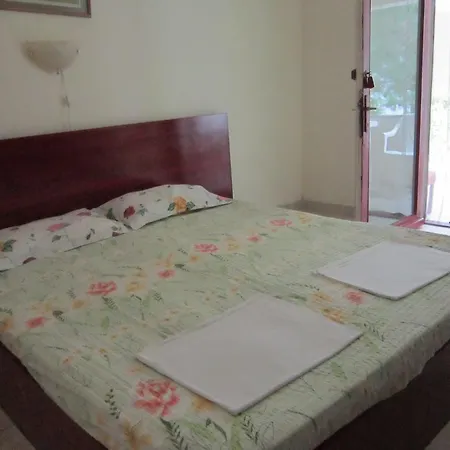 Casa de hóspedes Pensiunea Ruxandra 2*