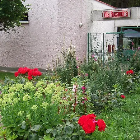 Guest house Pensiunea Ruxandra Venus
