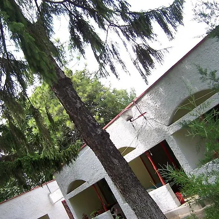 Guest house Pensiunea Ruxandra Venus