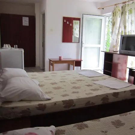 בית הארחה Pensiunea Ruxandra ונוס