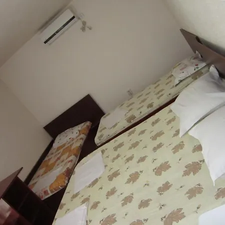 בית הארחה Pensiunea Ruxandra