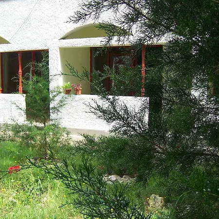 בית הארחה Pensiunea Ruxandra