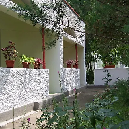 בית הארחה Pensiunea Ruxandra ונוס