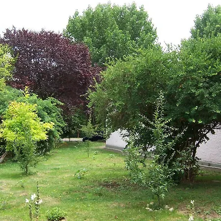 בית הארחה Pensiunea Ruxandra